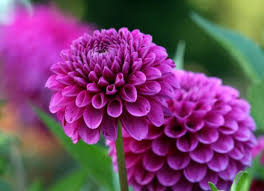 دانلود آهنگ تو مگو شبنم ثریا